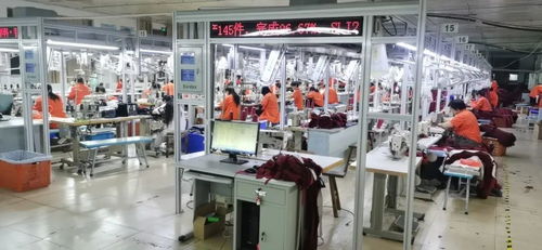 客服火線入職備戰天貓雙11，流水線24小時趕工，不夜廠點亮江蘇咨詢策劃服務