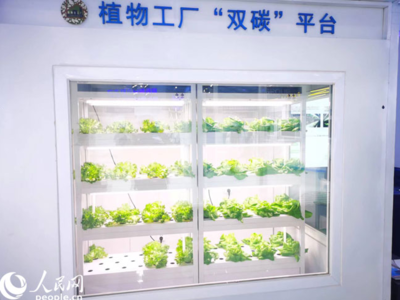 數(shù)字內(nèi)容制作服務(wù) 創(chuàng)新驅(qū)動與價值實現(xiàn)